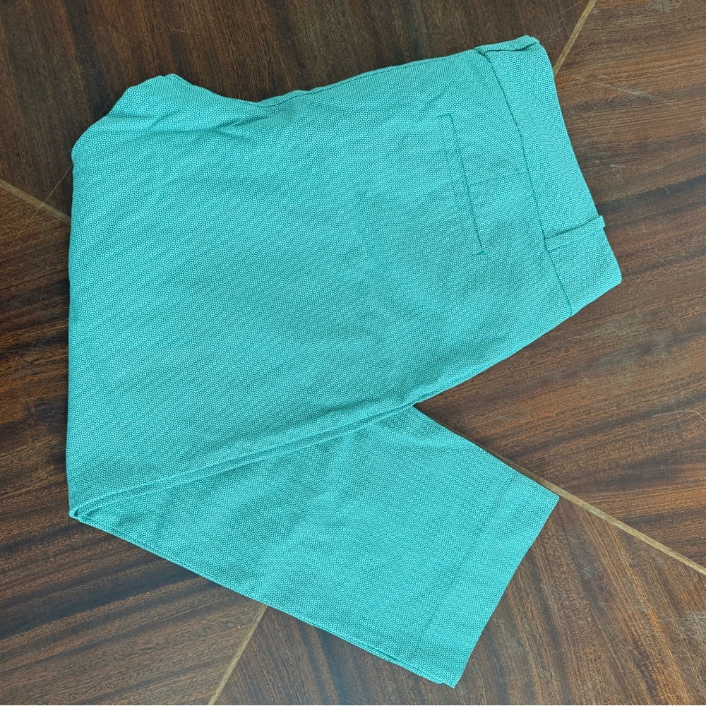 The Limited Mint Green Patterned Pants